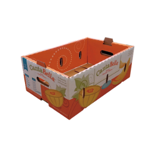 Fruit and Vegetable Carton