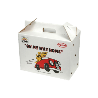Custom Cat Carrying Carton Box